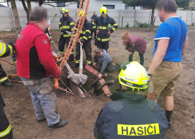 Koně ze skruží s vodou se podařilo zachránit u Lysé nad Labem. Hasiči to dokázali během pár minut