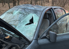 V Jílovišti spadl na auto strom. Pro zraněného řidiče musel přiletět vrtulník.