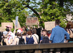 Protest proti pochodu