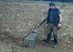 Brutální týrání zvířat v oboře Březka